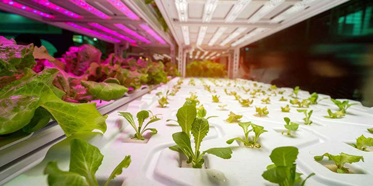 Horticulture Lighting Market Research Report Analysis and Forecast till 2028