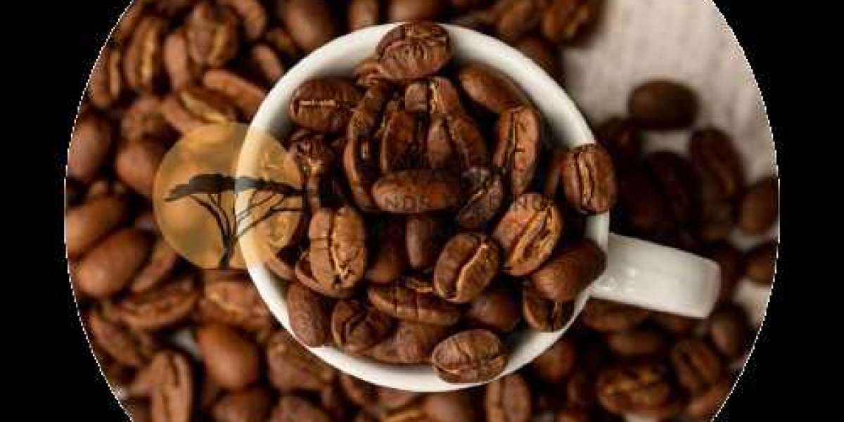 Premium Robusta Coffee Beans Supplier: Savanna Lands Trading