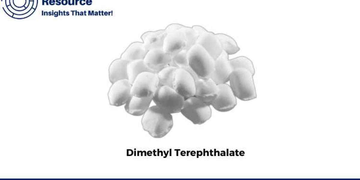 Dimethyl Terephthalate Production Process with Cost Analysis: Comprehensive Insights