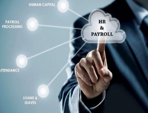 Empowering Dubai Businesses: The Future of HR Payroll Software in the UAE