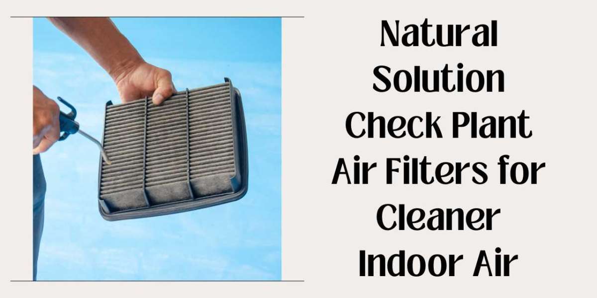 Natural Solution Check Plant Air Filters for Cleaner Indoor Air