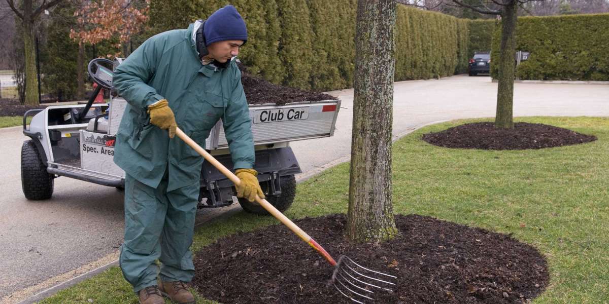 The Complete Guide to Mulching Services