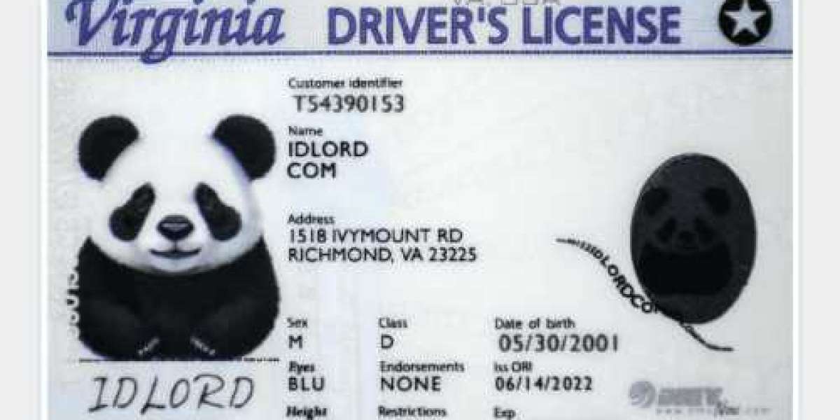 The Real Risks Behind Making Fake IDs: What You Need to Know