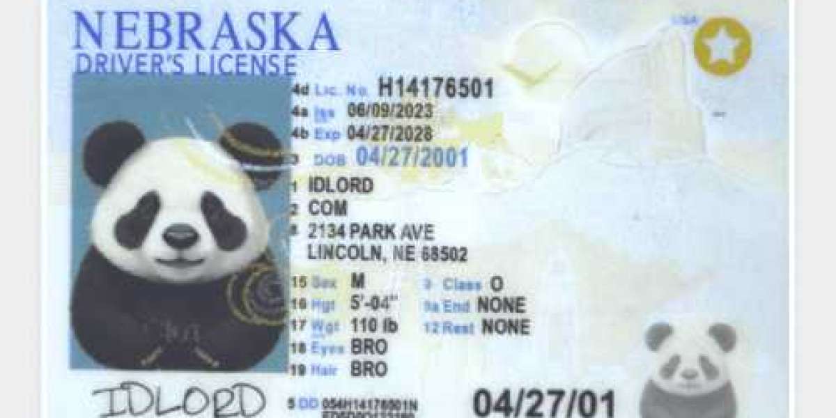 The Top States for Unique Fake IDs A Comprehensive Guide